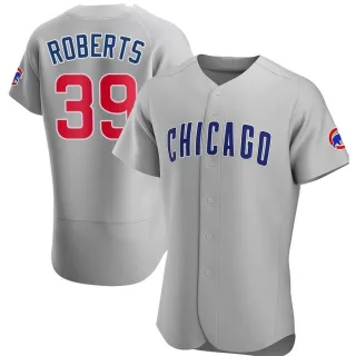 Authentic Men's Ethan Roberts Chicago Cubs Road Jersey - Gray