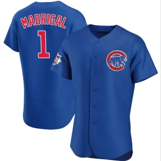 Authentic Men's Nick Madrigal Chicago Cubs Alternate Jersey - Royal