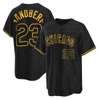 Men's Mitchell and Ness Chicago Cubs #23 Ryne Sandberg Replica