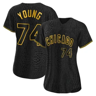 Jared Young Chicago Cubs Youth Gray Roster Name & Number T-Shirt 